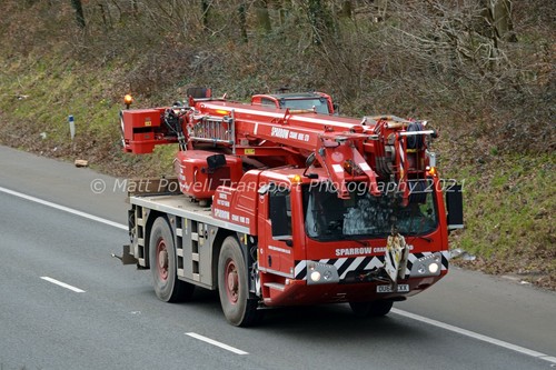 Crane photo 12x8 - crane,