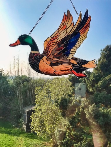 Flying mallard duck hanging - flying,
