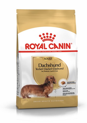 Royal canin dachshund adult - dachshund,