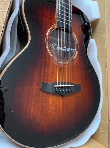 Tanglewood twx1ek travel size - twx1ek,