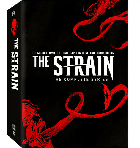 The strain - strain:,