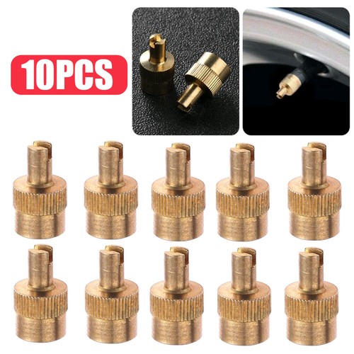 10pcs slotted head valve stem - slotted,