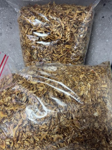 2kg oron crayfish fresh - crayfish,,