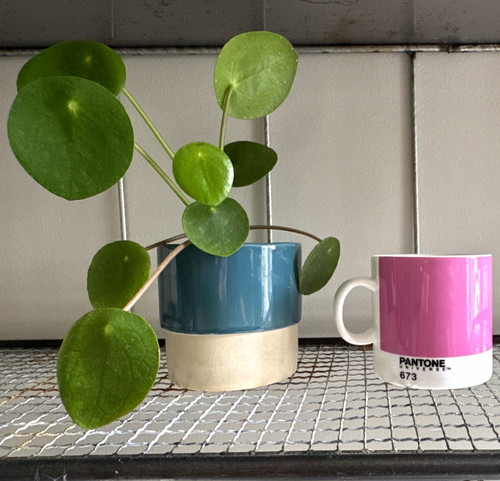 Pantone universe espresso cup - pantone,