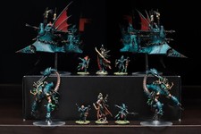 Drukhari Pro Painted Army