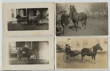 5   Postcards Shetland Pony Ponies Miniature Horse Horses Whittemore Iowa RPPC 