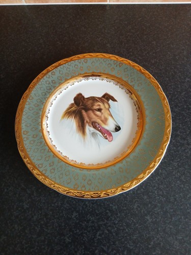 Rough collie decorative - collie, plate