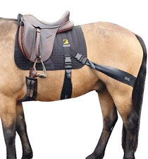 Equine Band System Dressage Core Conditioning Training Aid by Equine Balance