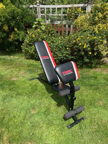 York warrior dumbbell - in,