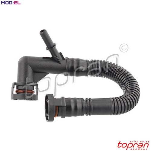 Hose cylinder head - hose,