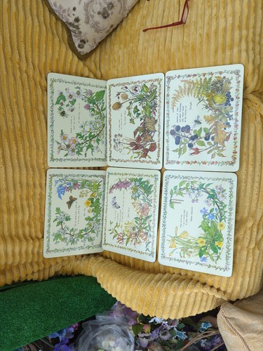 Six taunton vale place mats - vale,