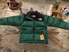 The North Face black and green
