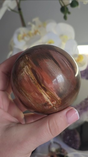 Fossil petrified wood sphere - fossil,