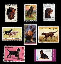 GORDON SETTER GUN DOG POSTAGE STAMP INTERNATIONAL COLLECTION of 8 all different