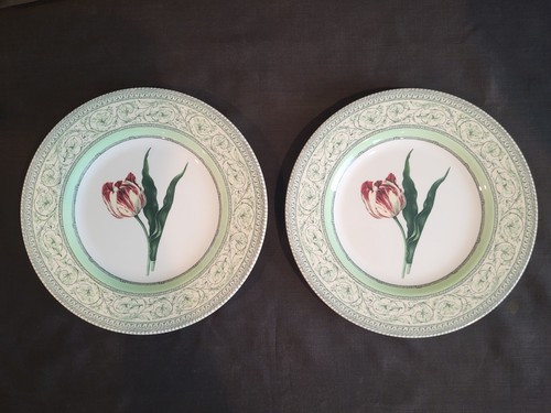 Set royal horticultural - set, 2