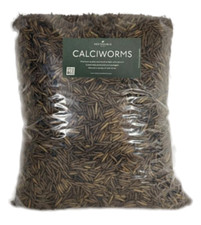 Premium UK Farmed Calci Worms High Protein & Calcium Mealworms Alternative