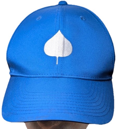 Nike legacy dri fit hat - nike, dri-fit