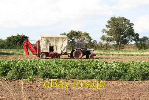 Photo 6x4 potato - potato, harvester