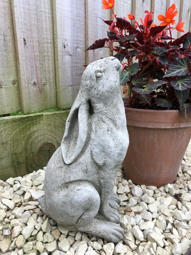 Rabbit gazing hare - gazing, stone