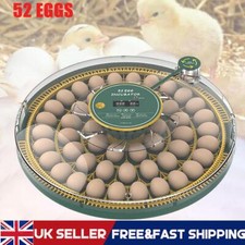 12-52 Eggs Fully Automatic