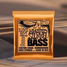 2833 Hybrid Slinky Bass Guitar