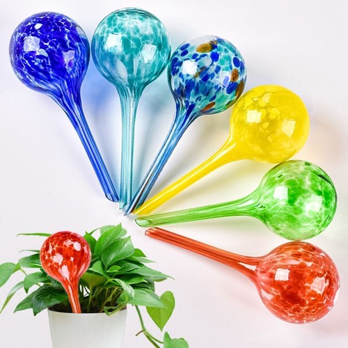 100ml glass watering globes - glass,