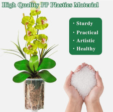 Growth Technology Clear Orchid