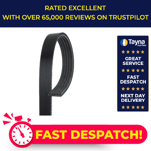 Rib multi drive belt - 5, v