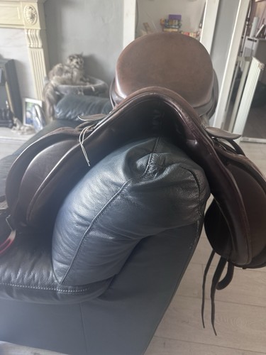 Ideal dressage saddle - dressage,