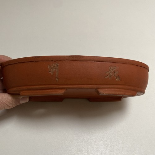 Bonsai pot for - pot, forest