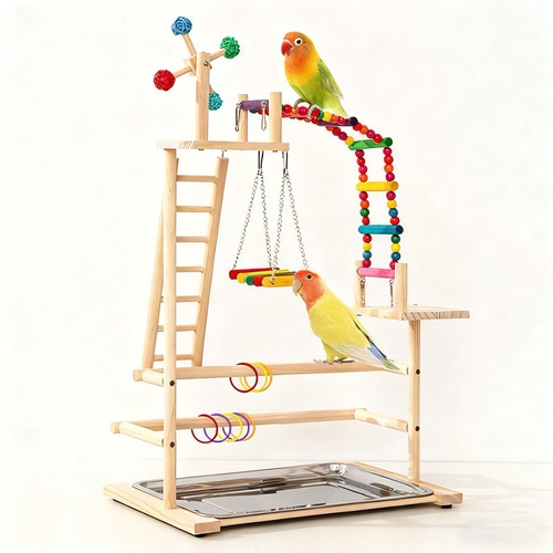 Parrot playstand bird plays - parrot,