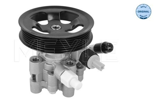 Hydraulic steering pump fits