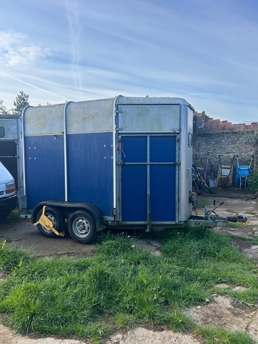 Ifor williams 505 - ifor, horse