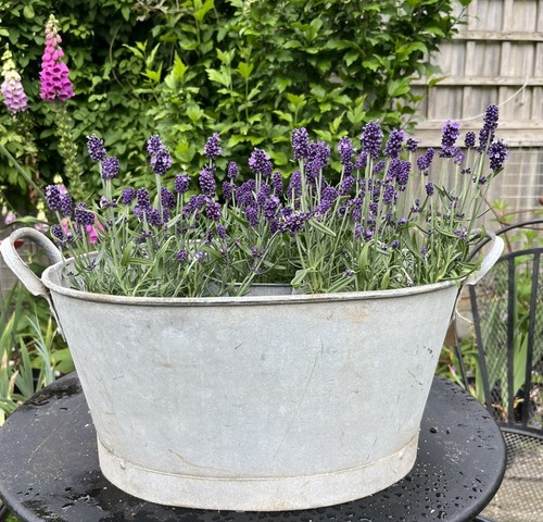 Vintage galvanised oval - vintage, bath