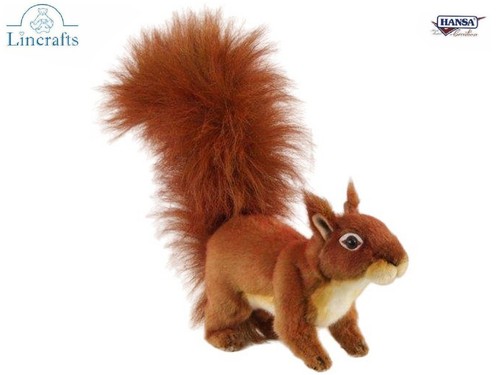 Standing red squirrel - squirrel, soft