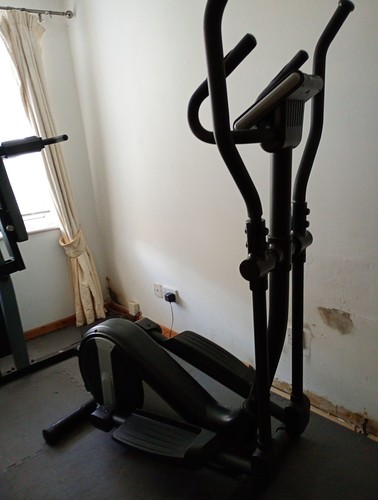 Roger black cross - roger, trainer