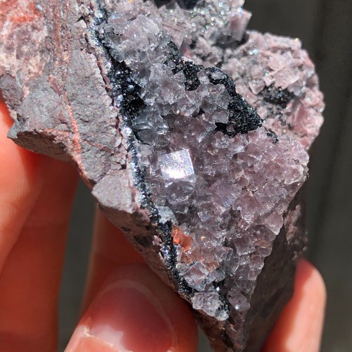 4cm blue fluorite crystals - 8.4cm,