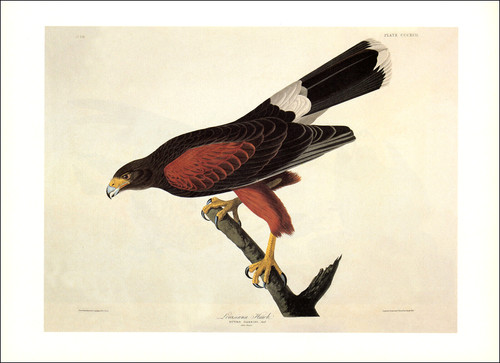 1997 vintage print harris - print,