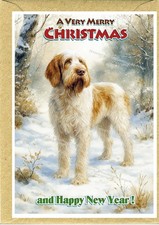 Italian Spinone Dog Christmas Card A6 (4"x 6") (Blank inside) by Starprint