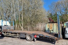 BEAVER TAIL PLANT BODY WITH