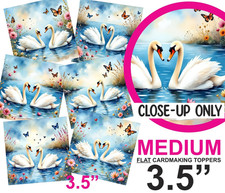 Swans Love/Wedding/Anniversary