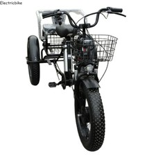 20" Electric Snow Tricycle