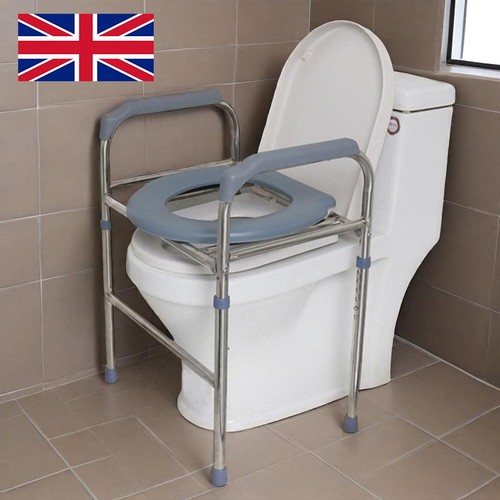 Silver raised toilet seat - silver,