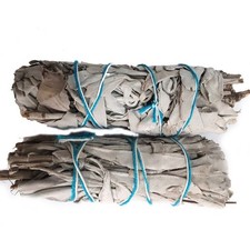 White Sage Smudge Sticks (Flatty) White Sage 4.5" From £3.99!