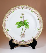 Plate 3573 - Flora Danica -