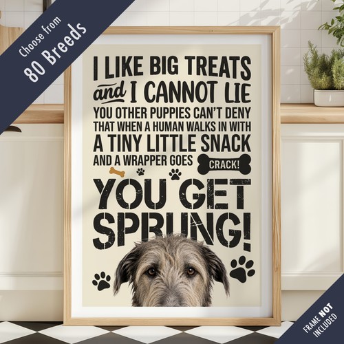 Funny dog treats - dog, lyric