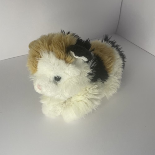 Tesco calico kitten cat ginger - tesco,