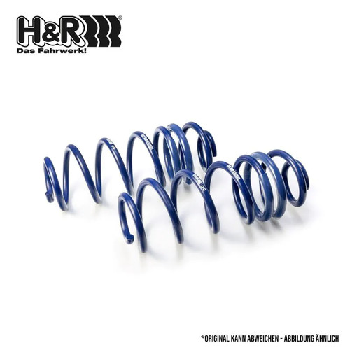 Lowering spring set - h+r,