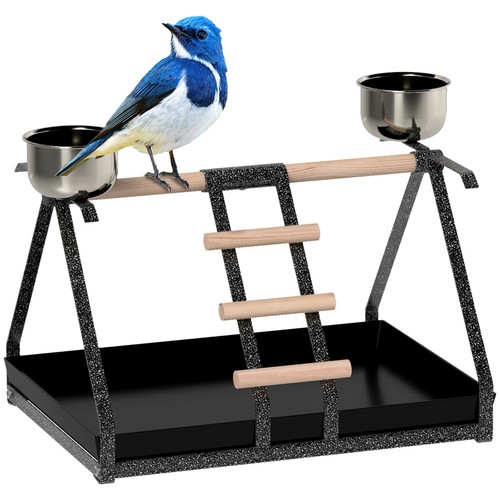 Parrot bird stand perch ladder - bird,