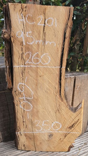 Spalted chestnut live edge - chestnut,